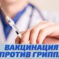 Иммунизация против гриппа