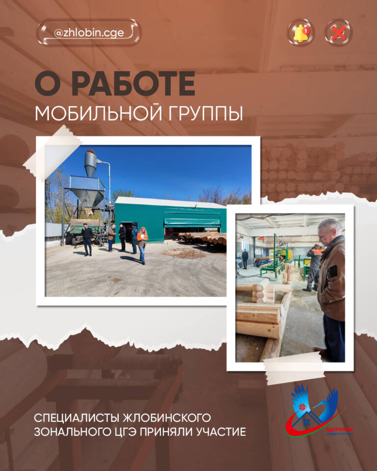 О работе мобильной группы