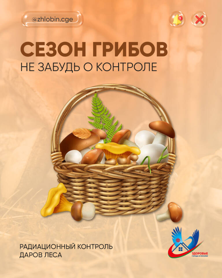 Сезон грибов в Беларуси: не забудьте про радиационный контроль!