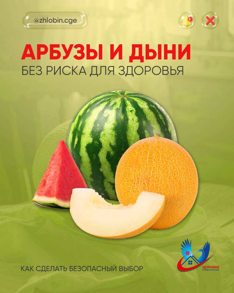 «Арбузы и дыни: как выбрать безопасно и почему разрезанные бахчевые – риск для здоровья»