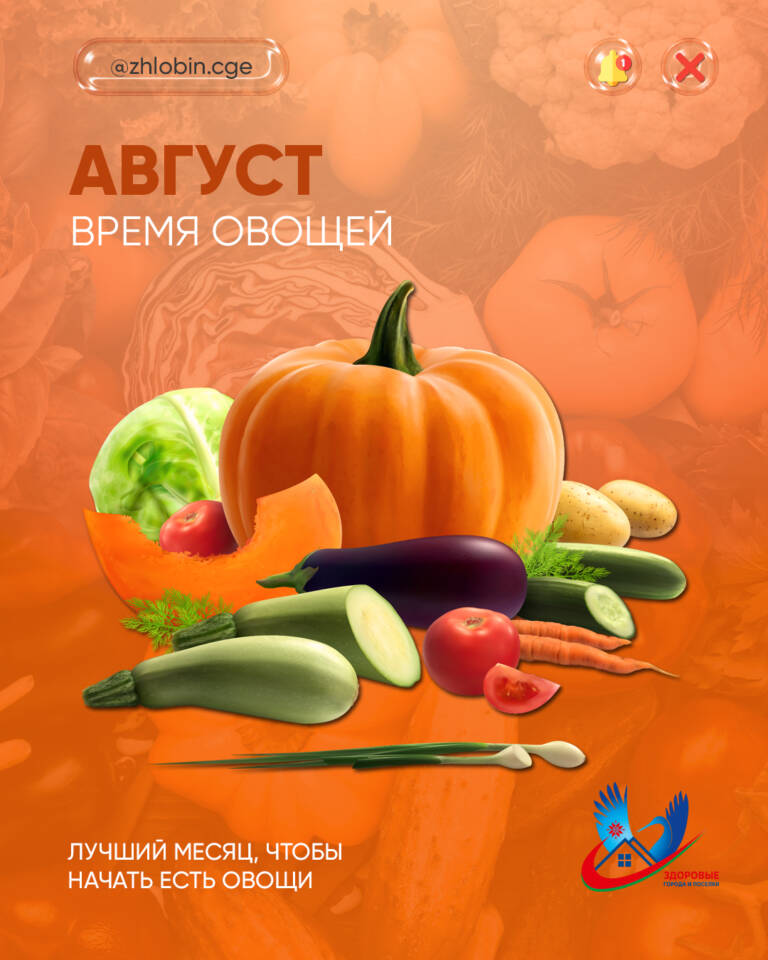 Август – лучший месяц, чтобы начать есть овощи