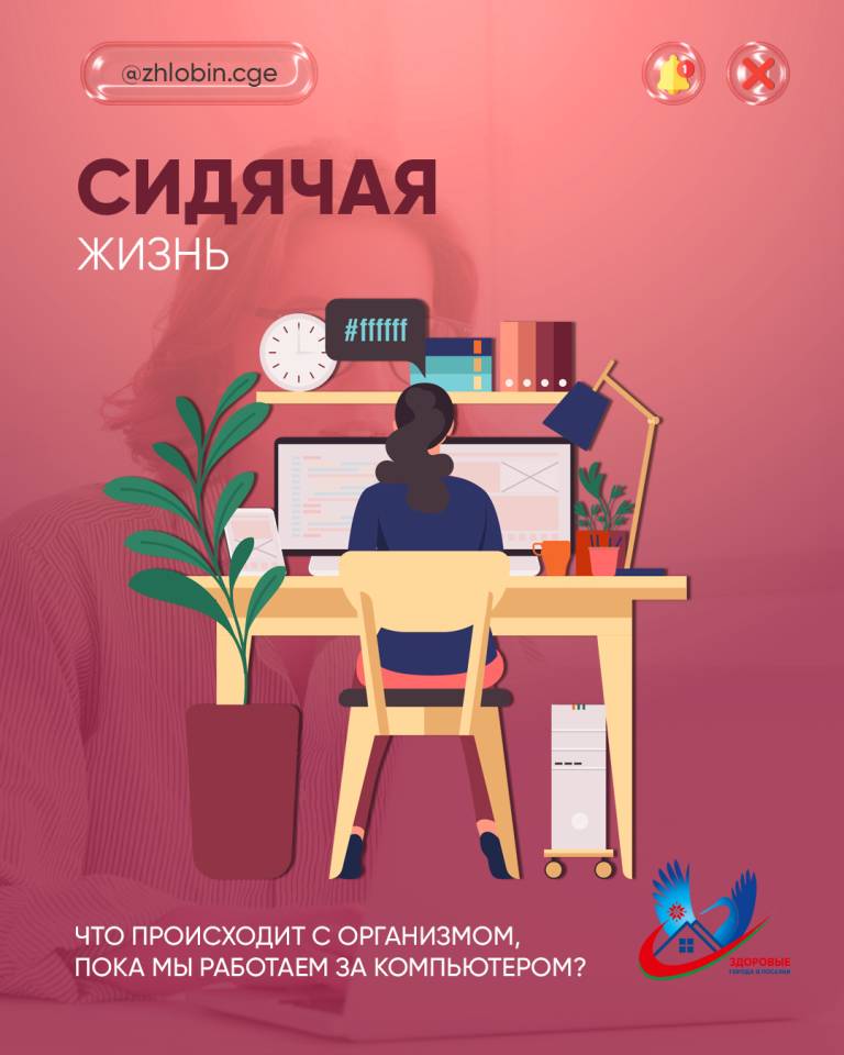 Сидячая жизнь: что происходит с организмом, пока мы работаем за компьютером